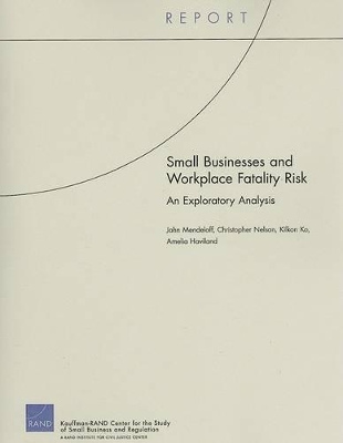 Book cover for Small Businesses and Workplace Fatality Risk