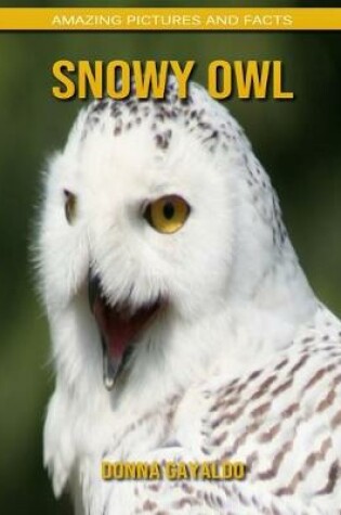 Cover of Snowy Owl