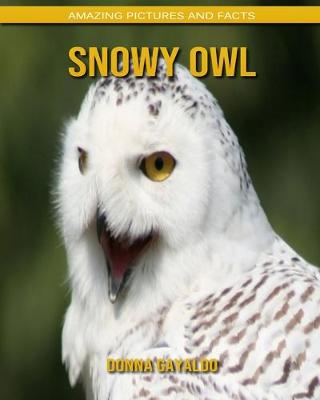 Book cover for Snowy Owl