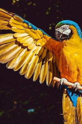 Book cover for Blue and Gold Macaw with Outstretched wing Journal