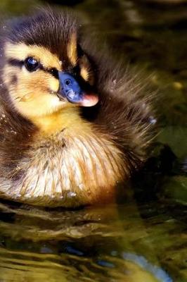 Book cover for Duckling Mallard Duck in a Pond Journal