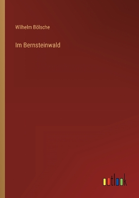 Book cover for Im Bernsteinwald