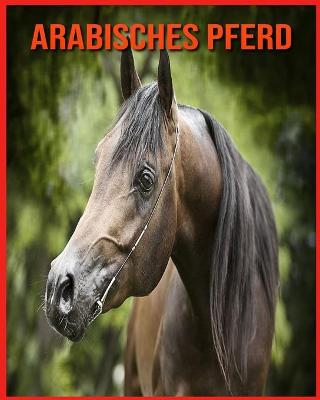 Book cover for Arabisches Pferd