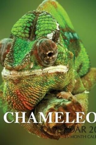 Cover of Chameleon Calendar 2020