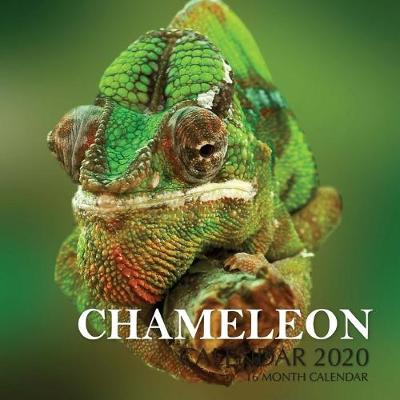 Book cover for Chameleon Calendar 2020