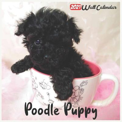 Book cover for Poodle Puppy 2021 Wall Calendar