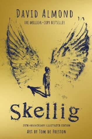 Cover of Skellig: the 25th anniversary illustrated edition
