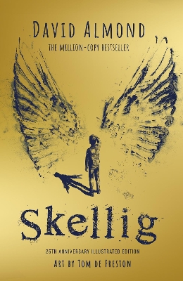 Book cover for Skellig: the 25th anniversary illustrated edition