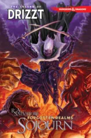 Cover of Dungeons & Dragons: The Legend of Drizzt Volume 3 - Sojourn