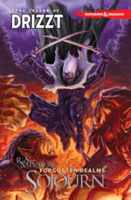 Book cover for Dungeons & Dragons: The Legend of Drizzt Volume 3 - Sojourn