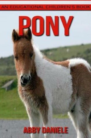 Cover of Pony! An Educational Children's Book about Pony with Fun Facts & Photos