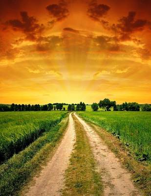 Book cover for Road Into a Beautiful Sunset, Jumbo Oversized