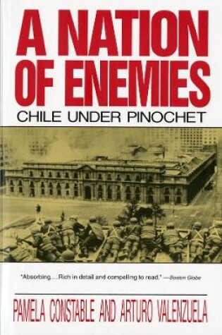 Cover of A Nation of Enemies