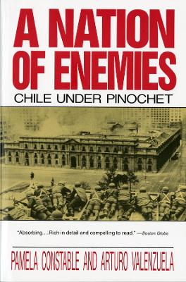 Book cover for A Nation of Enemies