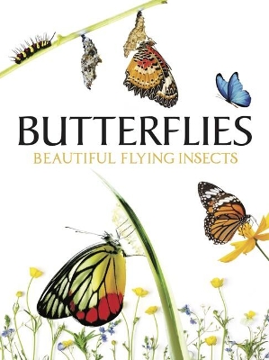 Book cover for Butterflies