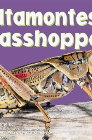 Cover of Grasshoppers