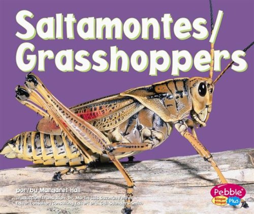 Book cover for Grasshoppers