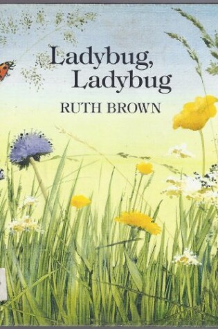 Cover of Brown Ruth : Ladybug, Ladybug (Hbk)