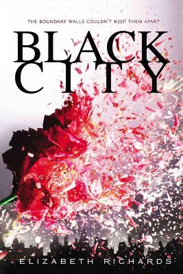 Book cover for Black City