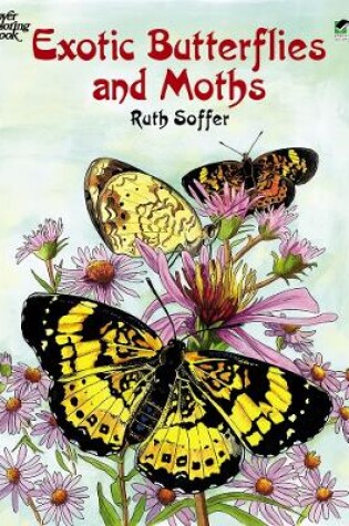 Cover of Exotic Butterflies and Moths Cb