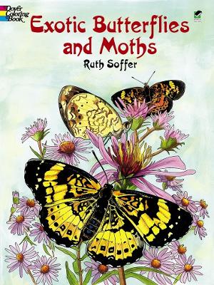 Book cover for Exotic Butterflies and Moths Cb