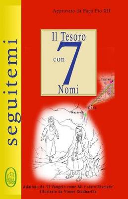 Book cover for Il Tesoro con 7 Nomi