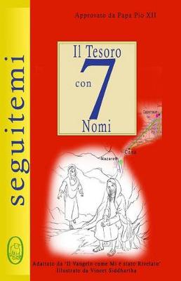 Cover of Il Tesoro con 7 Nomi