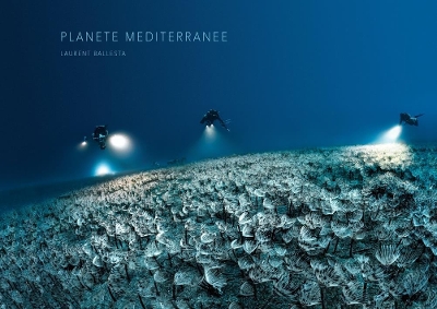 Cover of Mediterranean Planet