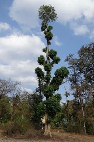 Cover of Termanalia Tree, for the Love of Nature