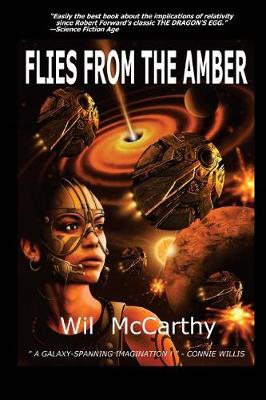 Book cover for Flies from the Amber