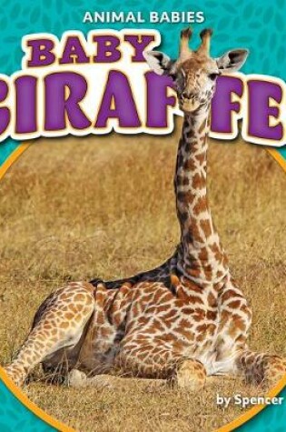 Cover of Baby Giraffes