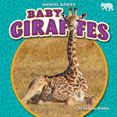 Book cover for Baby Giraffes