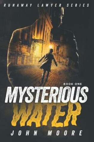 Cover of The Mysterious Water
