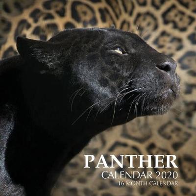 Book cover for Panther Calendar 2020