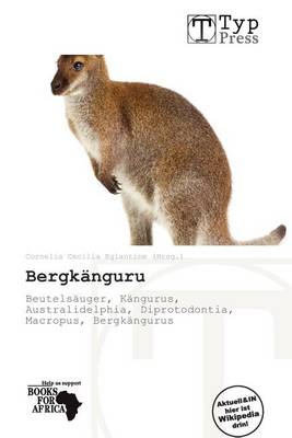 Cover of Bergk Nguru