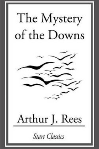 Cover of The Mystery of the Downs