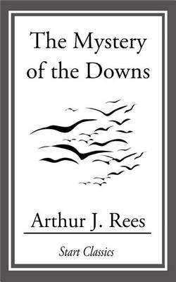 Book cover for The Mystery of the Downs