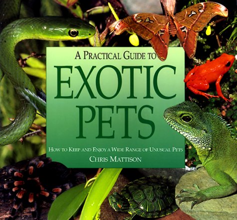 Book cover for A Practical Guide to Exotic Pets