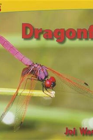 Cover of Dragonflies