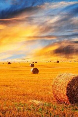 Cover of A Golden Sunset Over a Hay Field