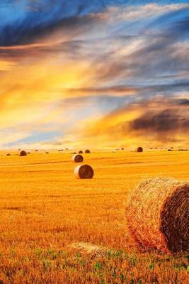 Book cover for A Golden Sunset Over a Hay Field