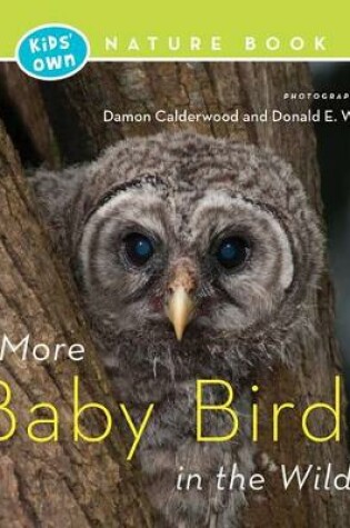 Cover of More Baby Birds in the Wild