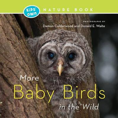 Book cover for More Baby Birds in the Wild