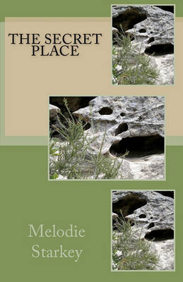 Book cover for The Secret Place