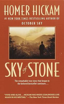 Book cover for Sky of Stone