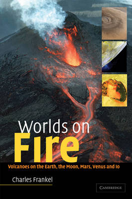 Book cover for Worlds on Fire