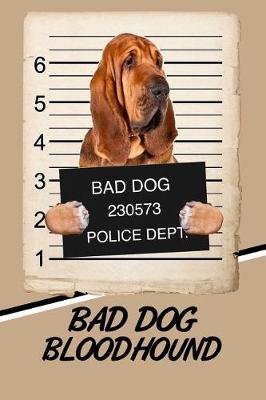 Book cover for Bad Dog Bloodhound