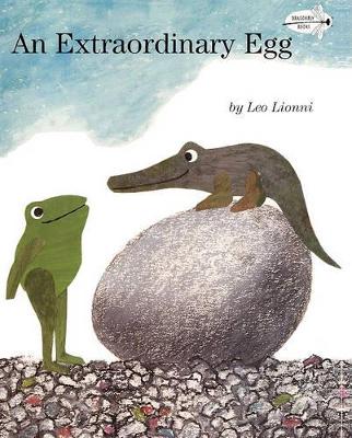 Book cover for Extraordinary Egg