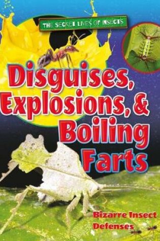 Cover of Disguises, Explosions, and Boiling Farts
