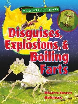 Book cover for Disguises, Explosions, and Boiling Farts